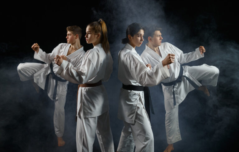 professional martial arts league